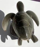Чёрная морская черепаха